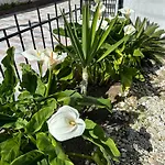 Ground Level House With Patio * Vila Nova de Gaia