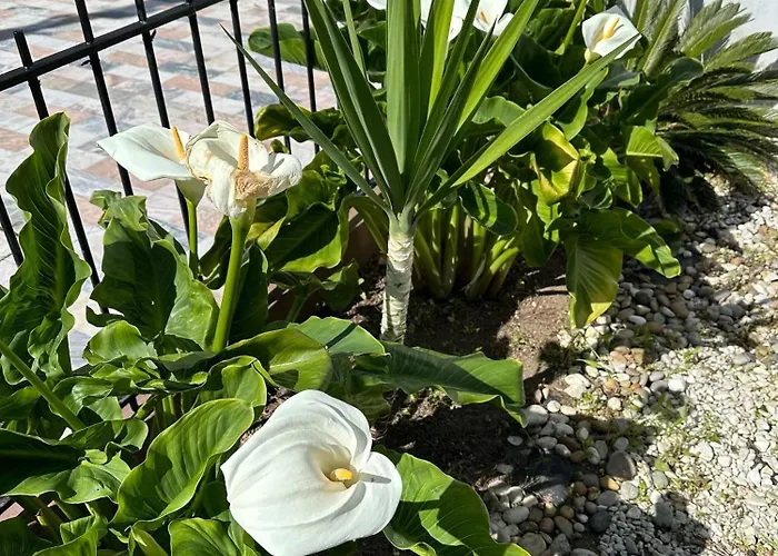 Ground Level House With Patio * 빌라노바데가이아